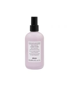 Davines Your Hair Assistant Blowdry Primer Tonic 250 ml