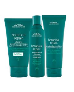 Aveda Kit Botanical Repair Shampoo + Conditioner + Masque Light