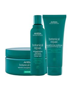 Aveda Kit Botanical Repair Shampoo + Conditioner + Masque Rich